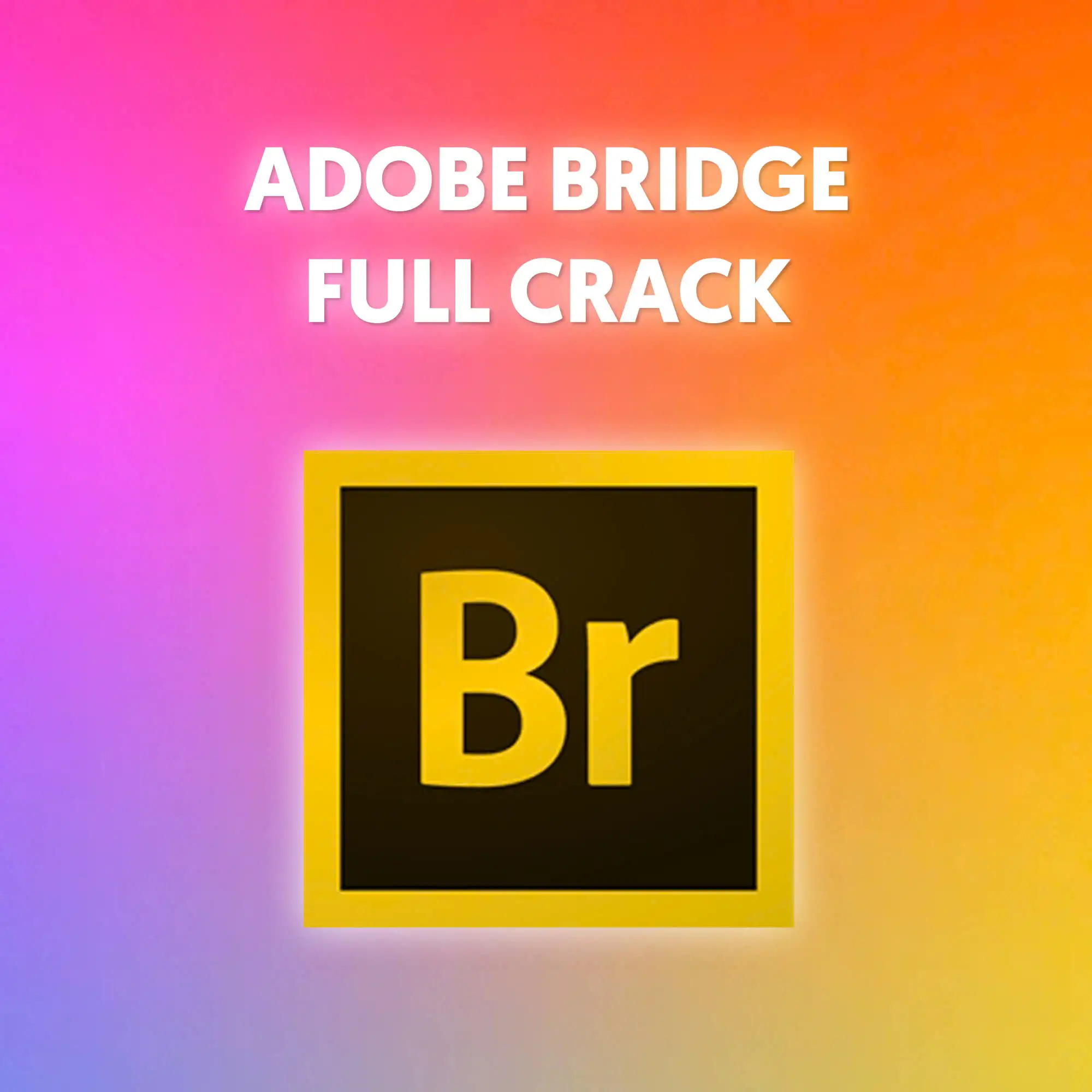 Abobe Bridge Full Crack Vĩnh Viễn